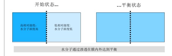 高分子膜水分子扩散