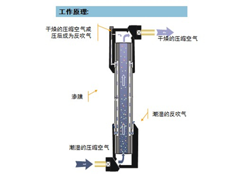 渗膜式干燥器工作原理