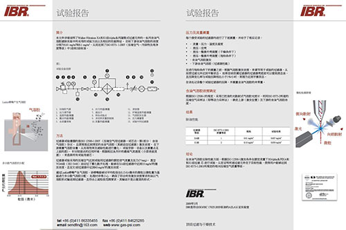 Walker Filtration压缩空气过滤器的IBR试验报告