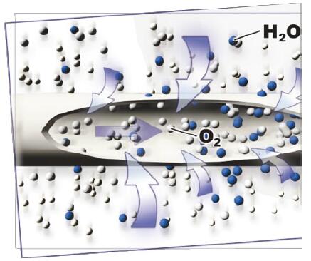 水分子和氧分子在SR医疗制氧机用氧气加湿器的中空纤维膜丝流向
